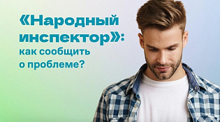 Народный инспектор