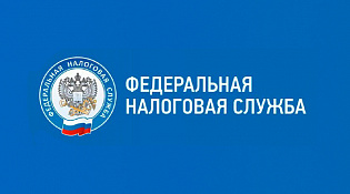 Налогоплательщиков проконсультируют онлайн из офисов МФЦ