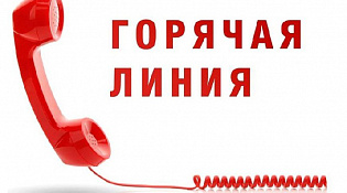 Горячая линия